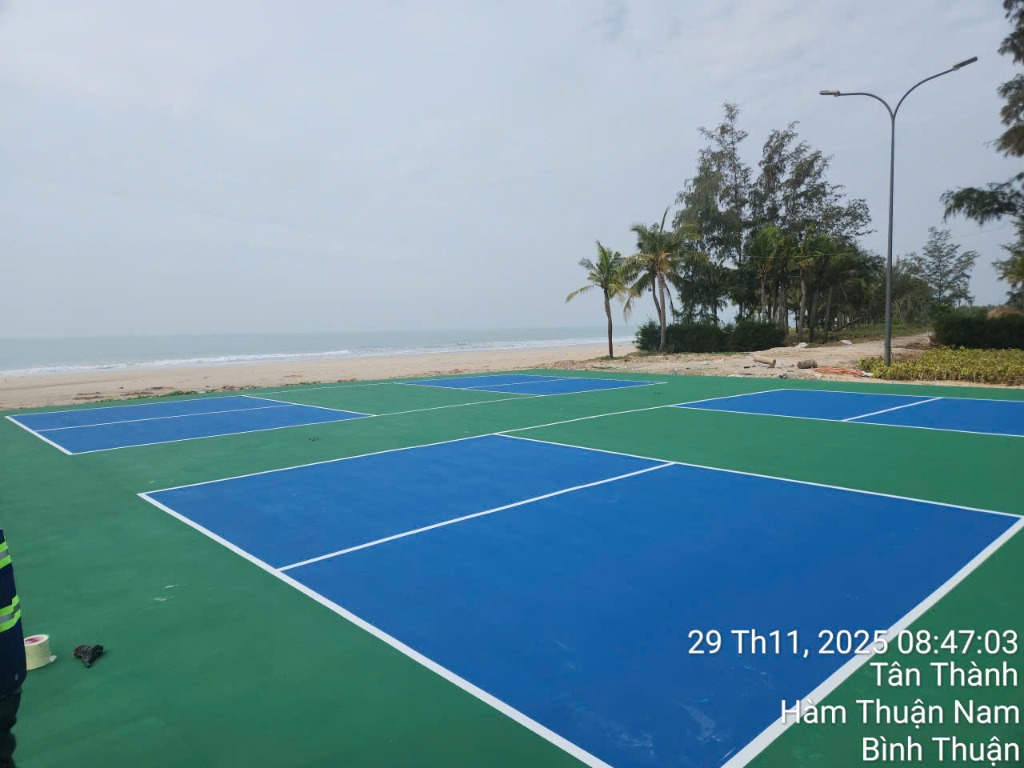 Cụm Sân Pickleball Ven Biển Bình Thuận